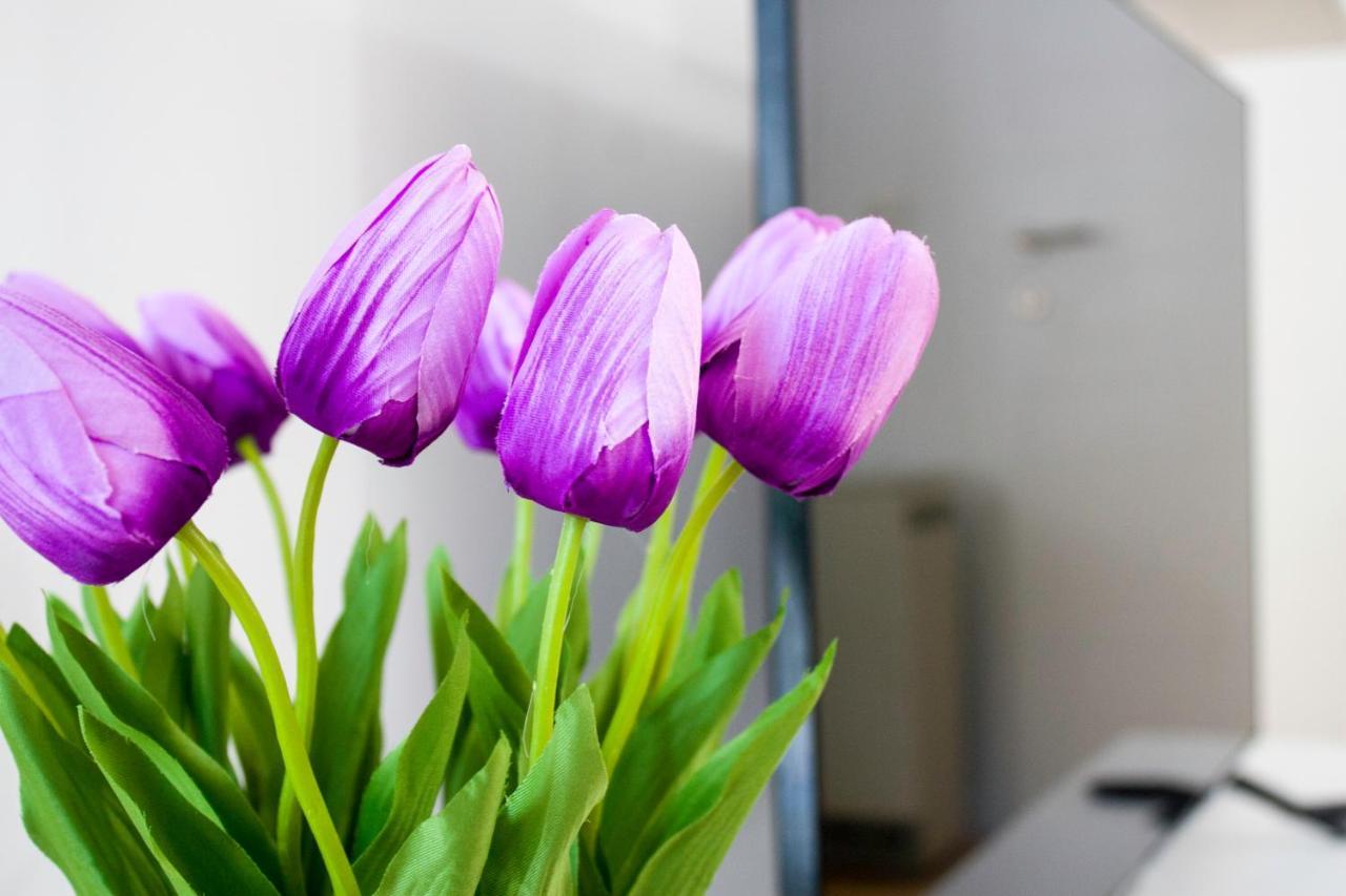 White Orchid Pula Apartment Ngoại thất bức ảnh