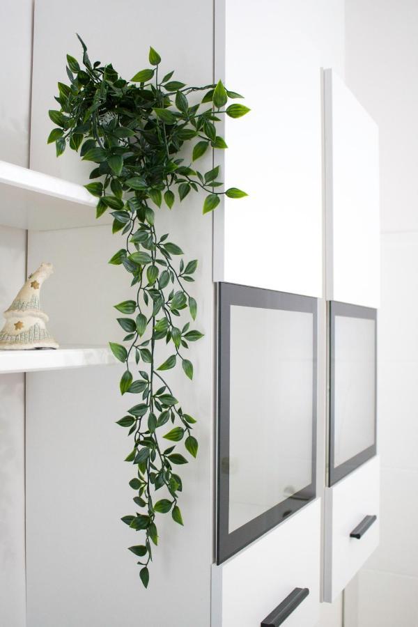 White Orchid Pula Apartment Ngoại thất bức ảnh